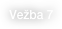 Vežba 7