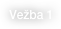 Vežba 1